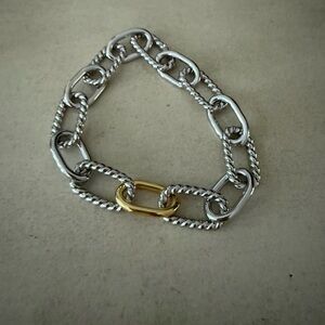 Silver and Gold Chain Bracelet